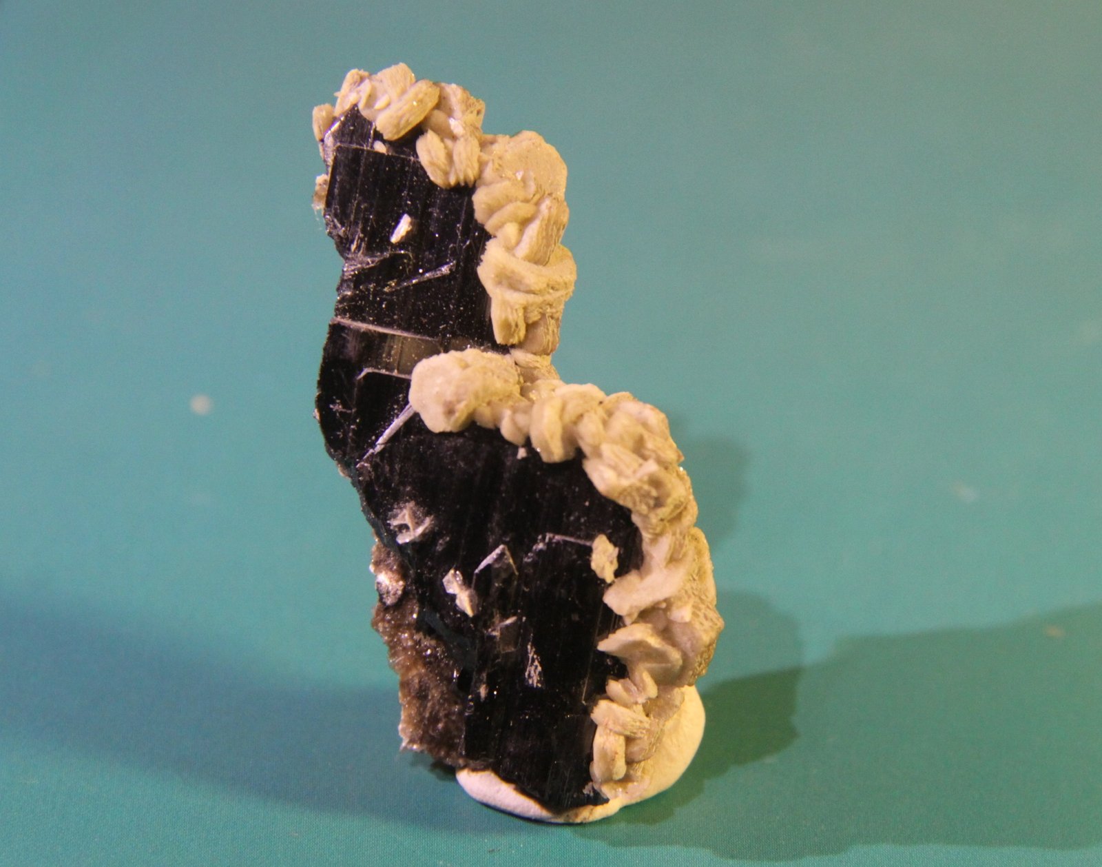 Ferberite, Siderite
33mm x 55mm x 14mm
(Autor: Firmo Espinar)
