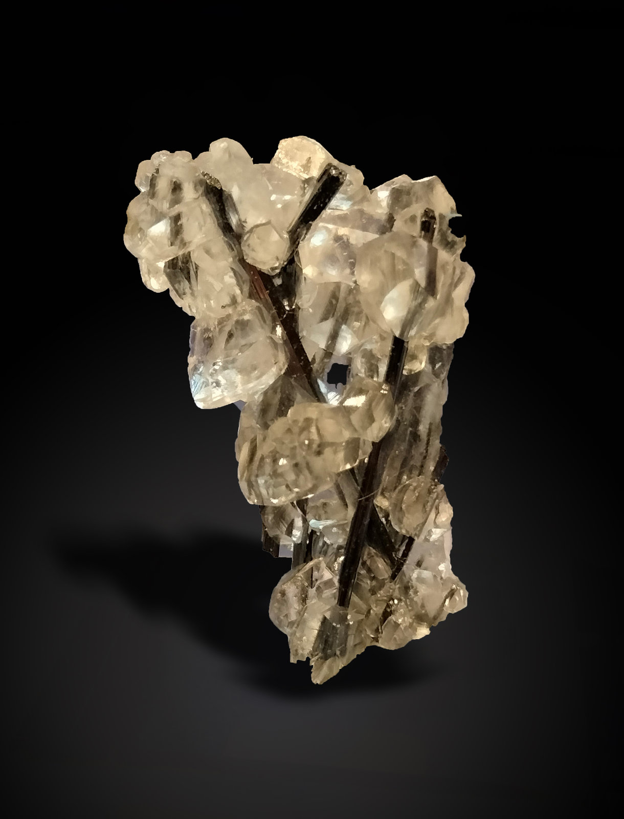 Stibnite and Calcite
23 mm x 36 mm x 10 mm
(Autor: Firmo Espinar)