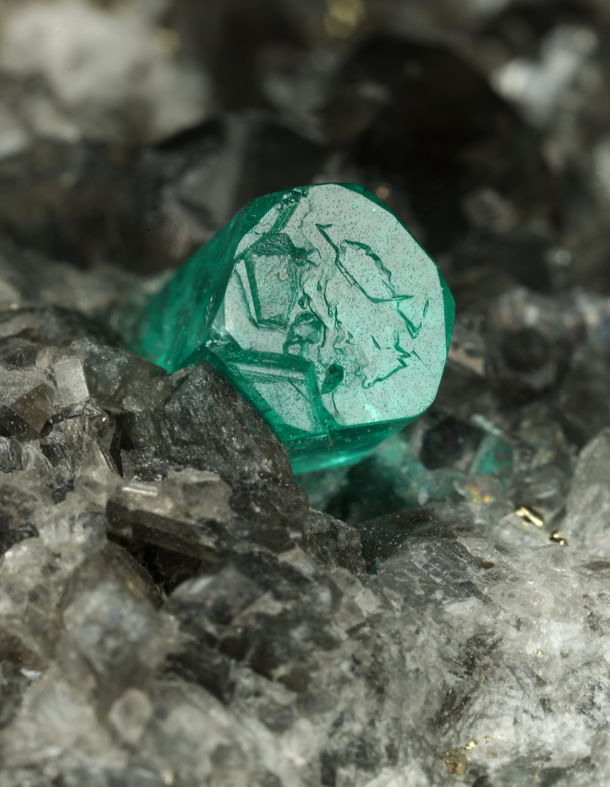 Beryl (variety emerald), Calcite, Dolomite, Pyrite
84x43x54mm, xl=7mm
(Autor: Fiebre Verde)