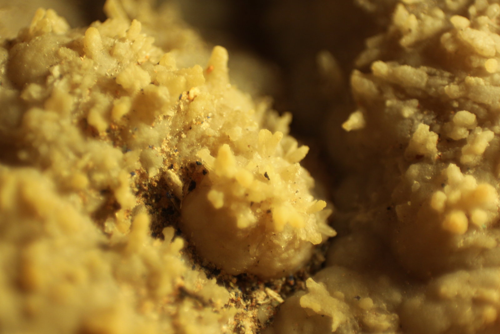 Aragonite
FOV 9 mm
(Autor: Firmo Espinar)