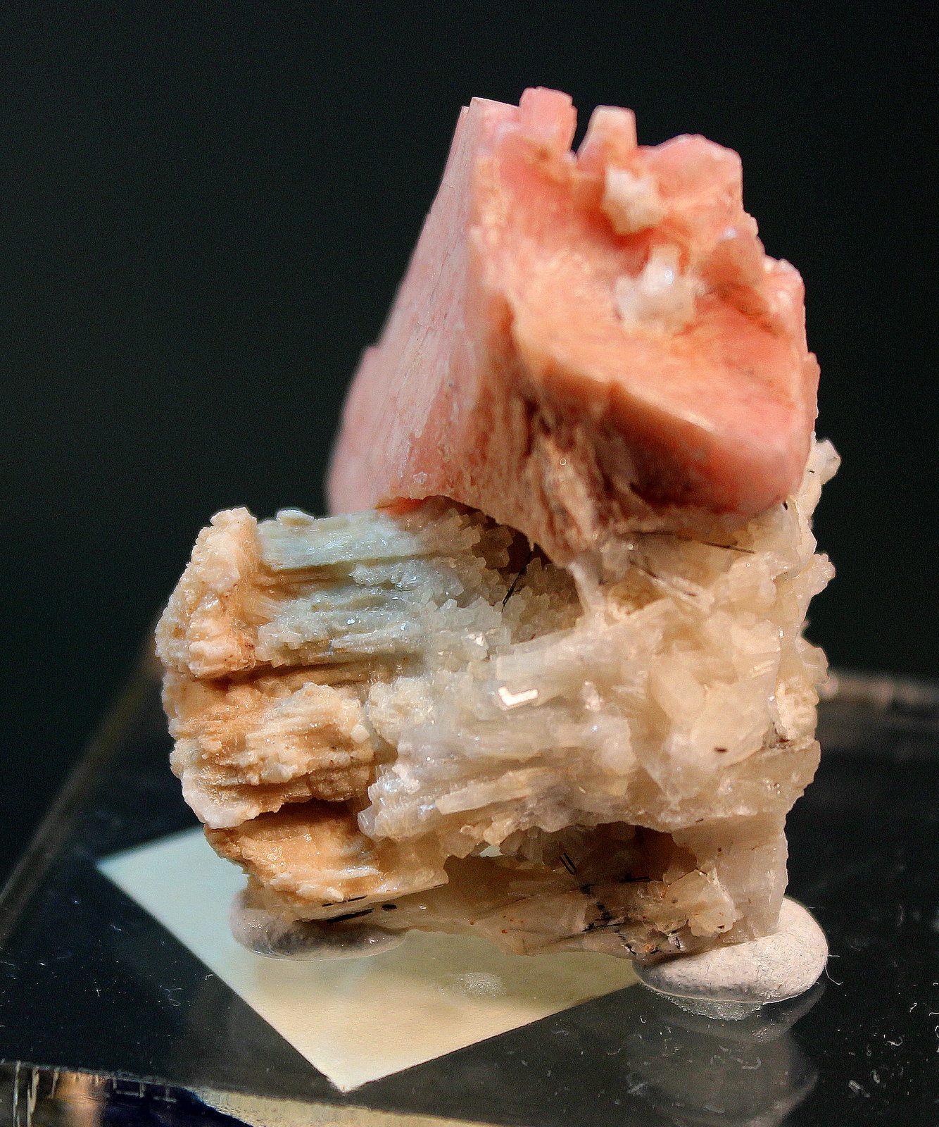 Serandite, Natrolite, Aegerine
4.3 x 3.5 cm
(Autor: Don Lum)