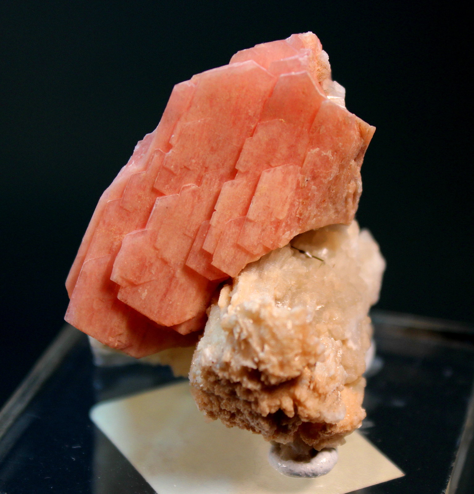 Serandite, Natrolite, Aegerine
4.3 x 3.5 cm
(Autor: Don Lum)