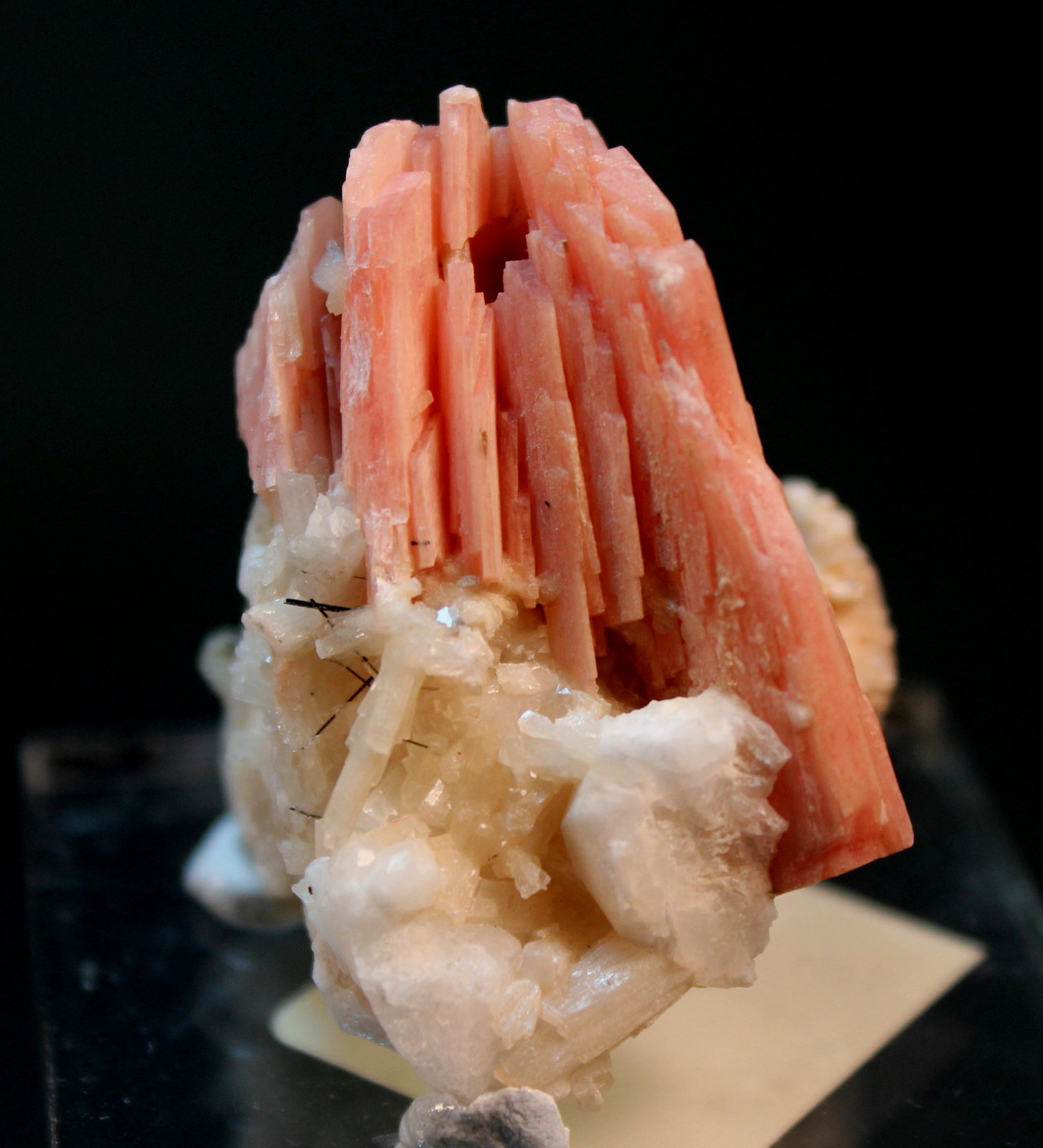 Serandite, Natrolite, Aegerine
4.3 x 3.5 cm
(Autor: Don Lum)