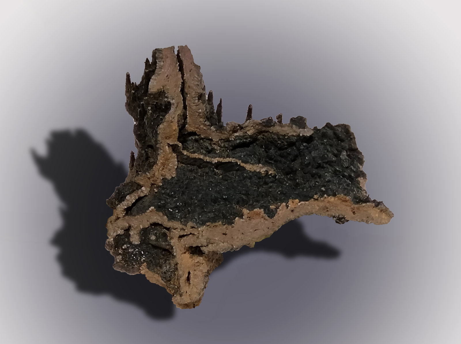 Goethite
63 mm x 58 mm x 60 mm
(Autor: Firmo Espinar)