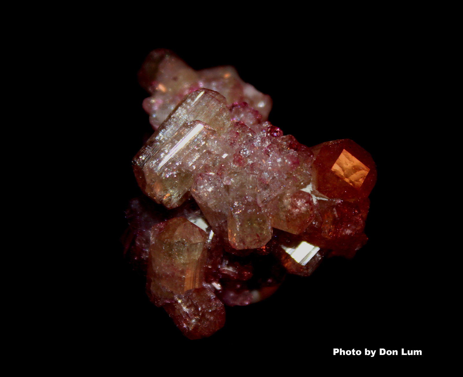 Vesuvianite (var. manganoan vesuvianite)
3.4 x 2.2 cm
(Autor: Don Lum)
