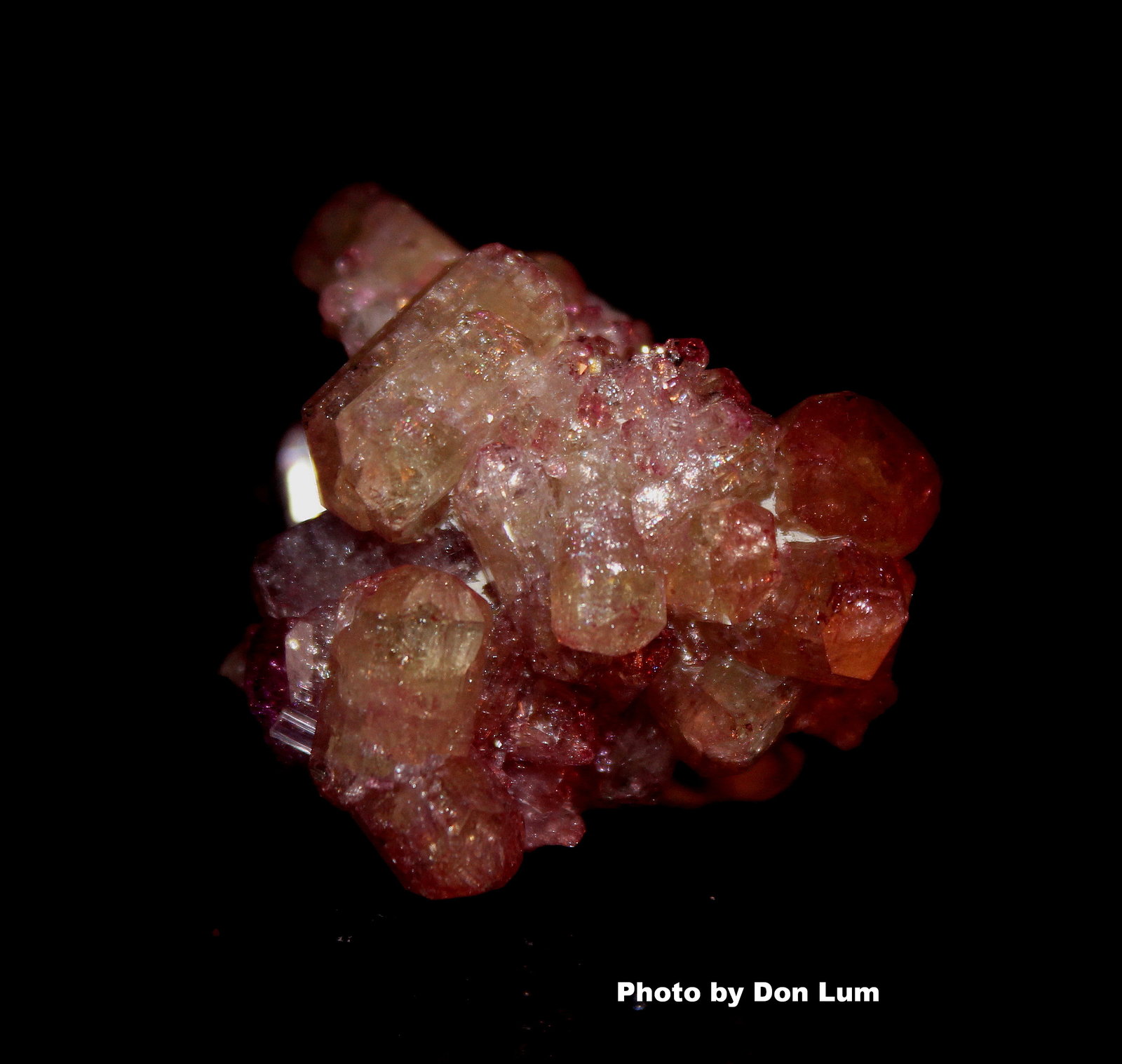 Vesuvianite (var. manganoan vesuvianite)
3.4 x 2.2 cm
(Autor: Don Lum)
