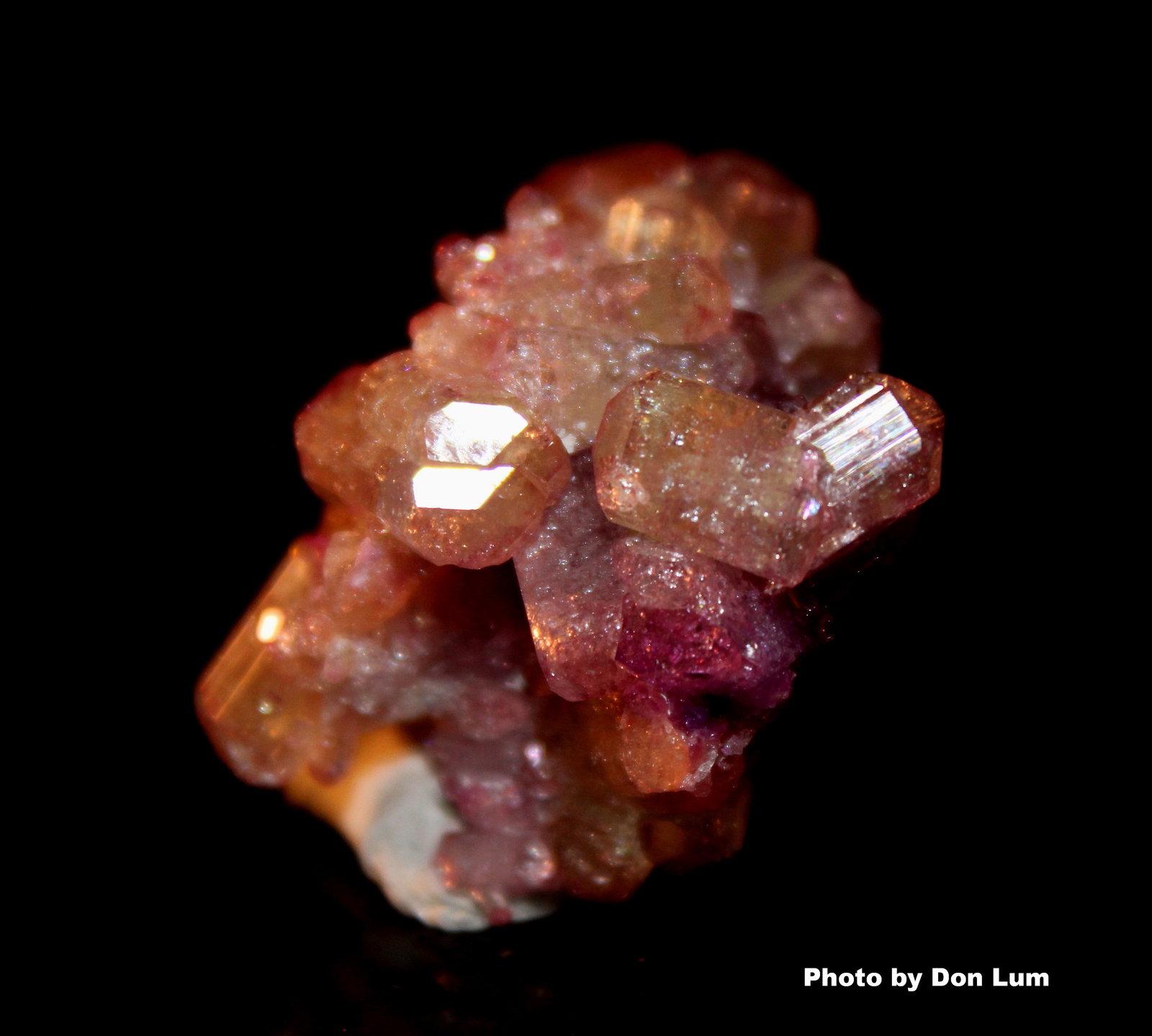 Vesuvianite (var. manganoan vesuvianite)
3.4 x 2.2 cm
(Autor: Don Lum)