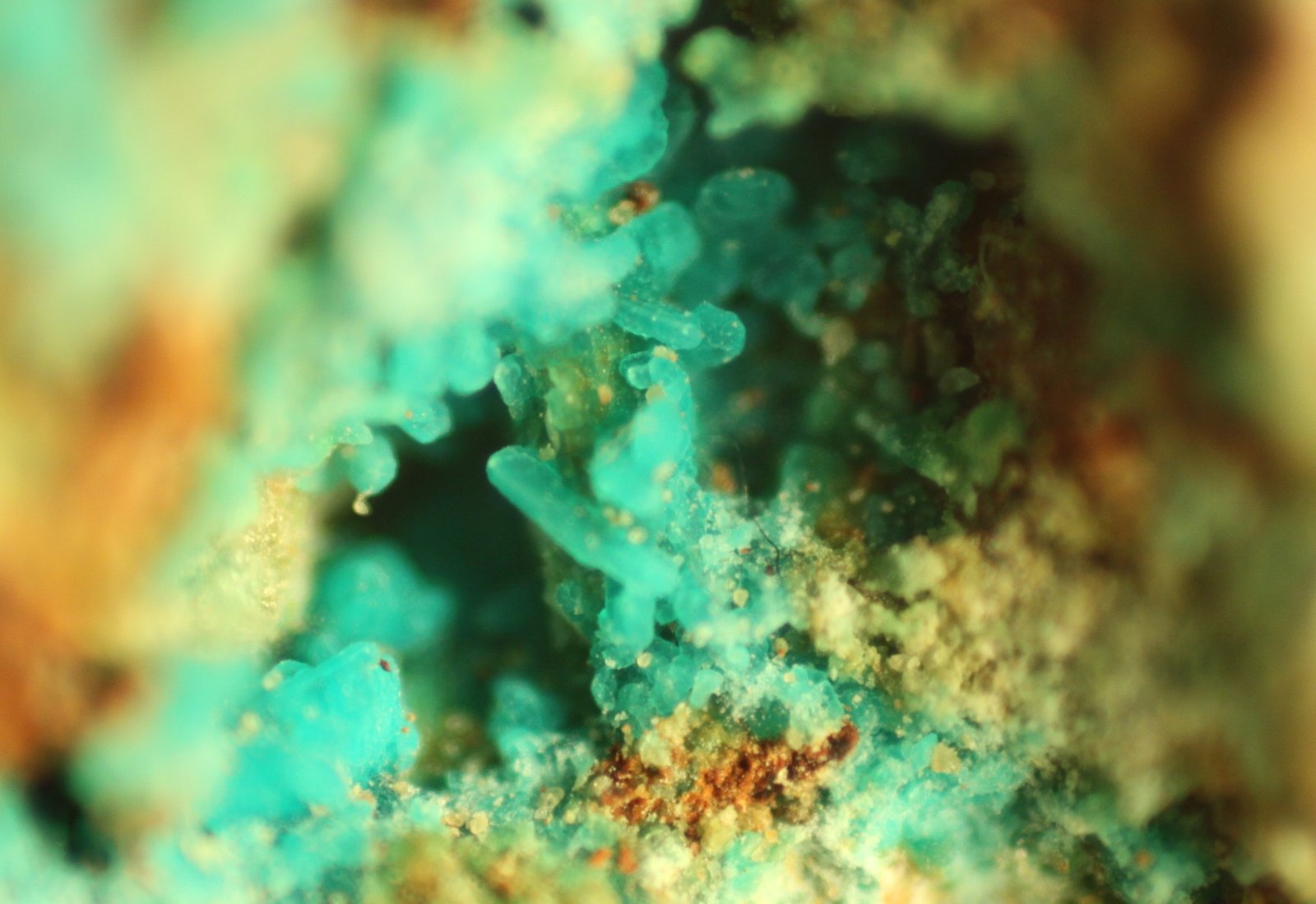 Chrysocolla
FOV 7 mm
(Autor: Firmo Espinar)