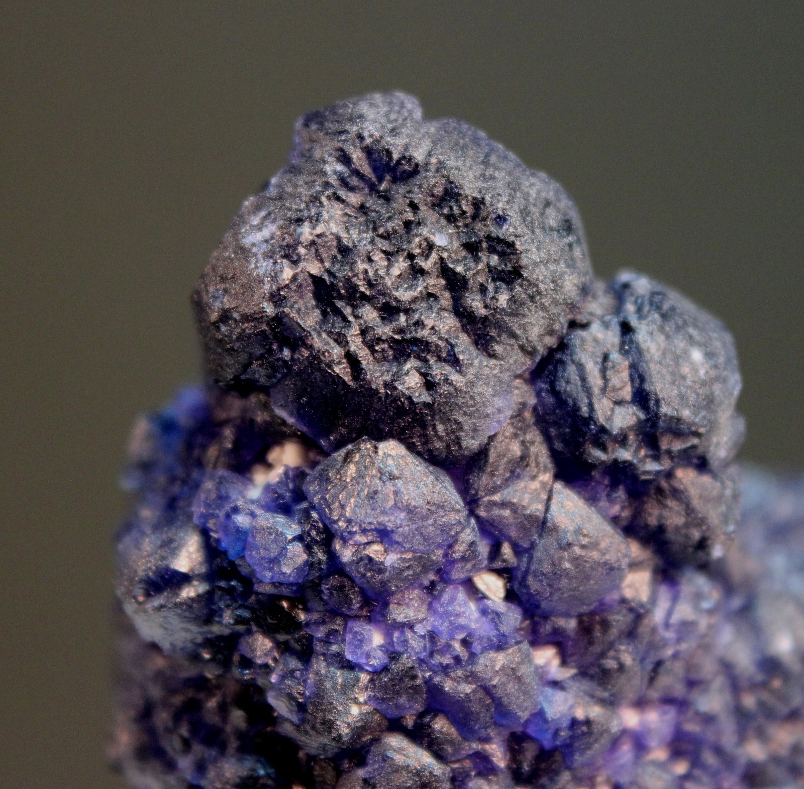 Fluorite on Quartz
9.0 x 5.6 cm
(Autor: Don Lum)