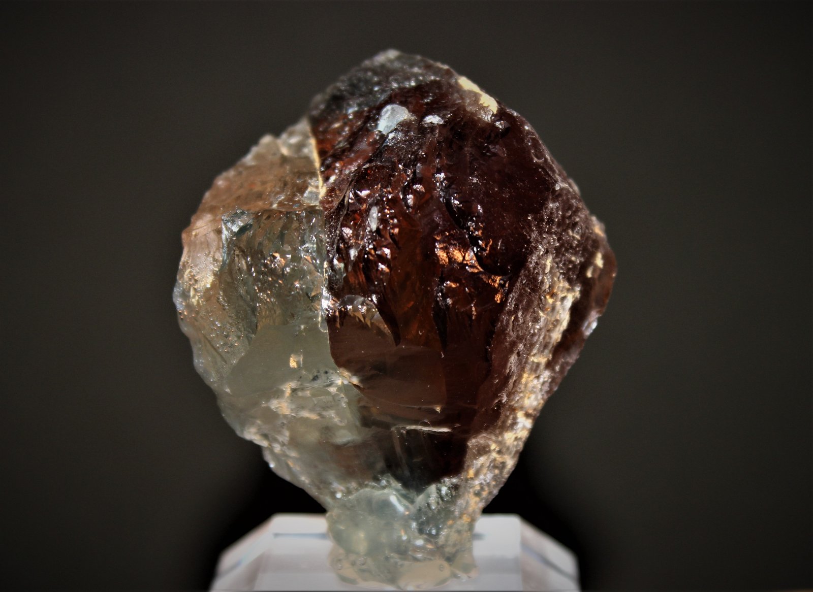 Topaz
65 mm x 60 mm
(Autor: Don Lum)
