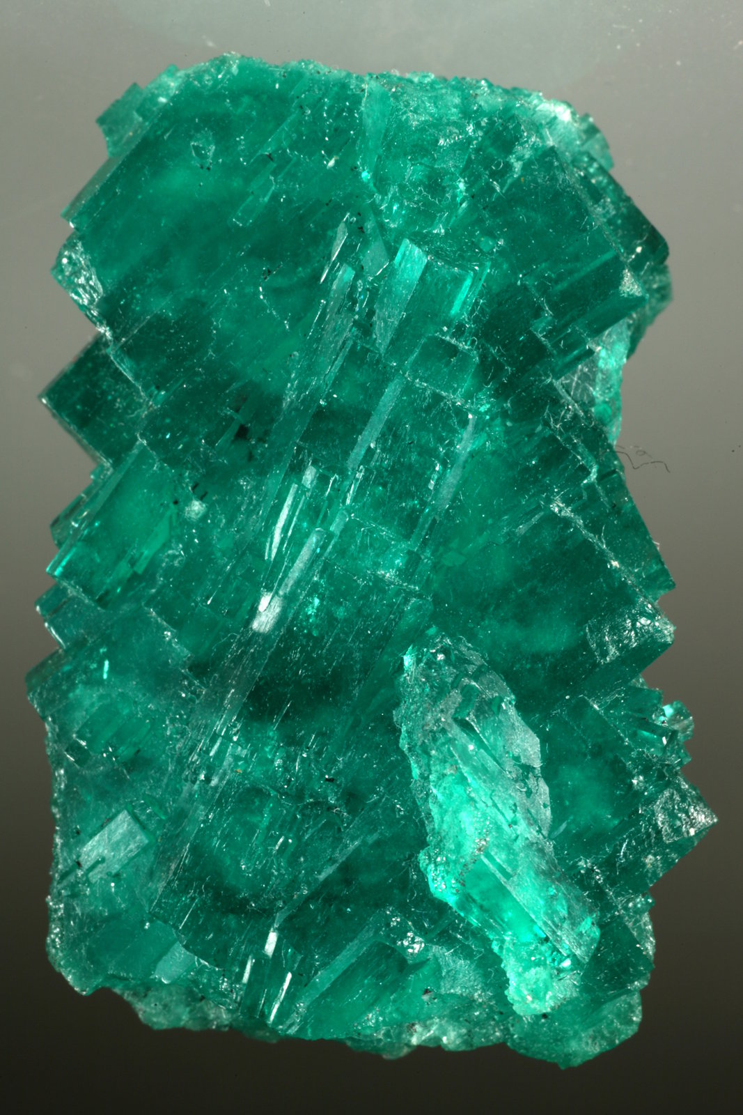Beryl (var. emerald)
40x26x15mm
(Autor: Fiebre Verde)