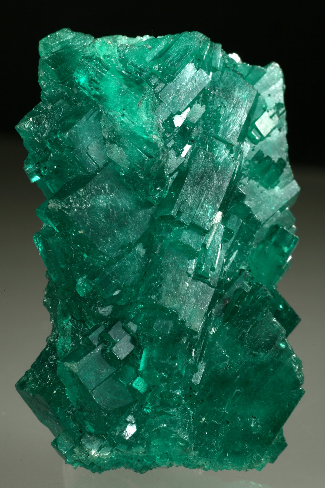Beryl (var. emerald)
40x26x15mm
(Autor: Fiebre Verde)
