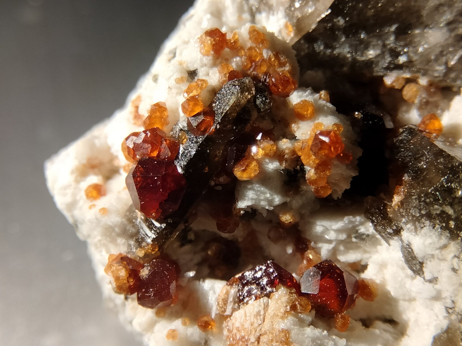 Spessartine, Quartz (variety smoky) and Microcline
detail
(Autor: Firmo Espinar)