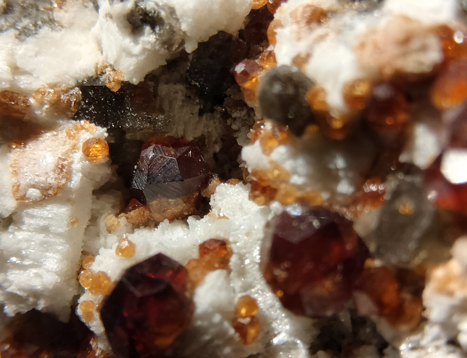 Spessartine, Quartz (variety smoky) and Microcline
close up
(Autor: Firmo Espinar)