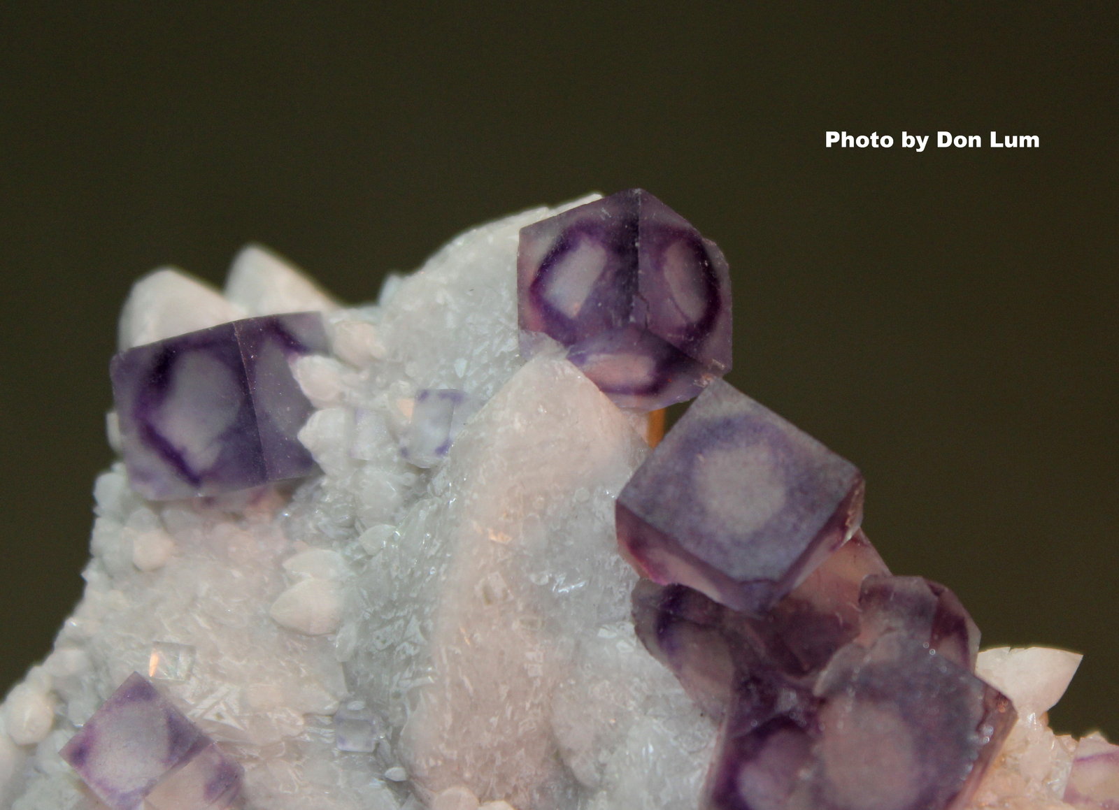 Fluorite, Quartz
9.4 x 8 x 3.3 cm
(Autor: Don Lum)