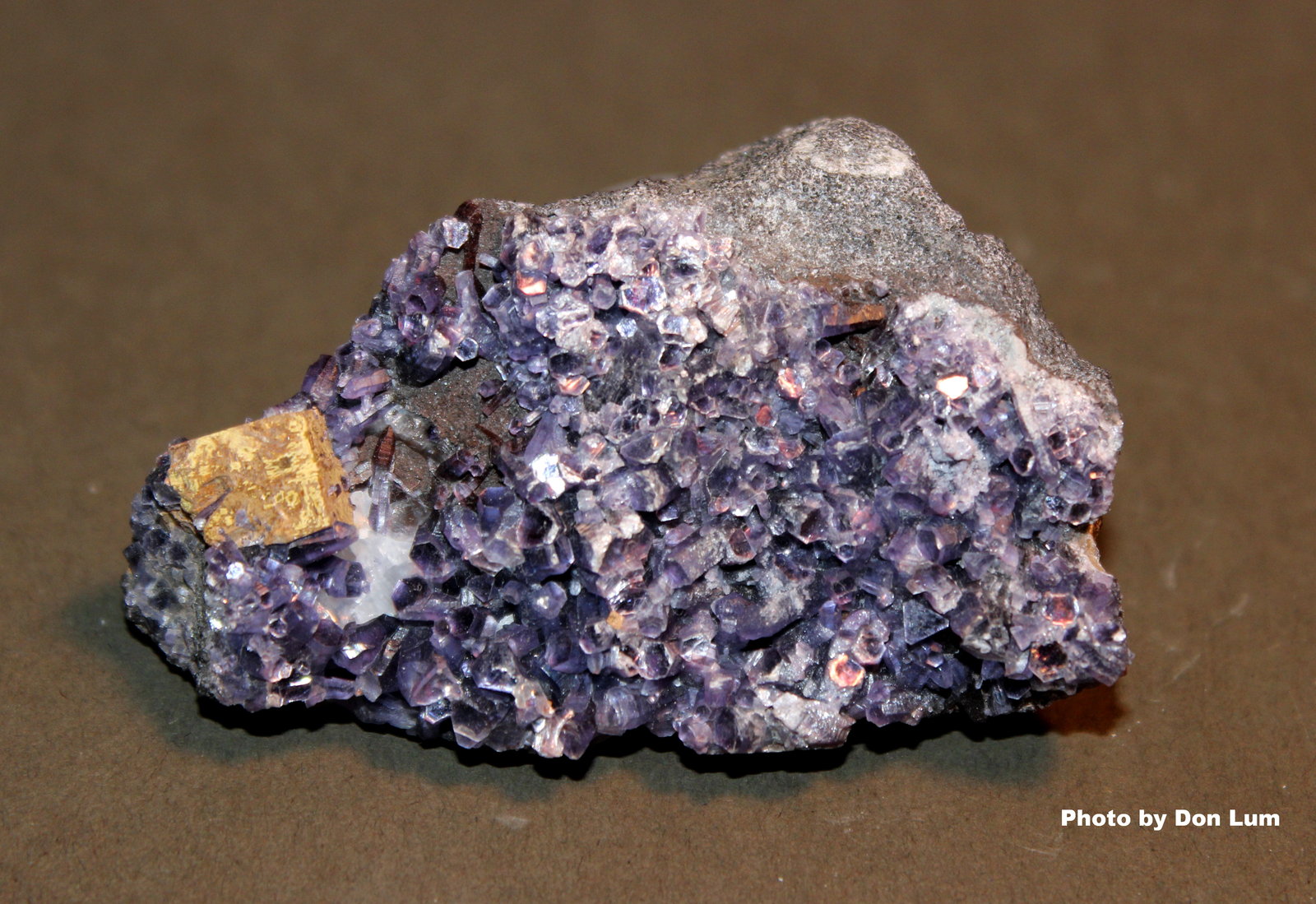 Perovskite, Amesite
6.5 x 4.0 cm
(Autor: Don Lum)