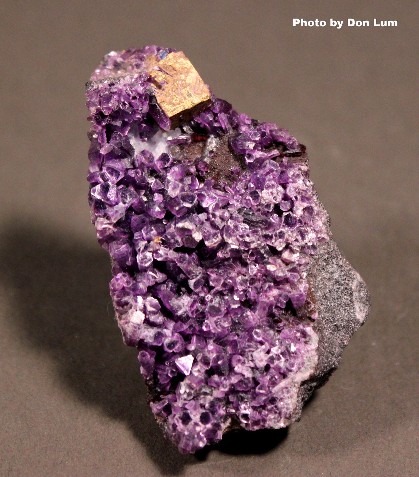 Perovskite, Amesite
6.5 x 4.0 cm
(Autor: Don Lum)