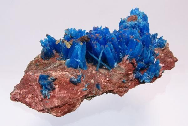 (Autor: Paul S)