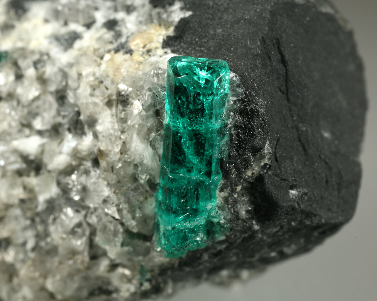 40mm across, xl=15mm
(Autor: Fiebre Verde)