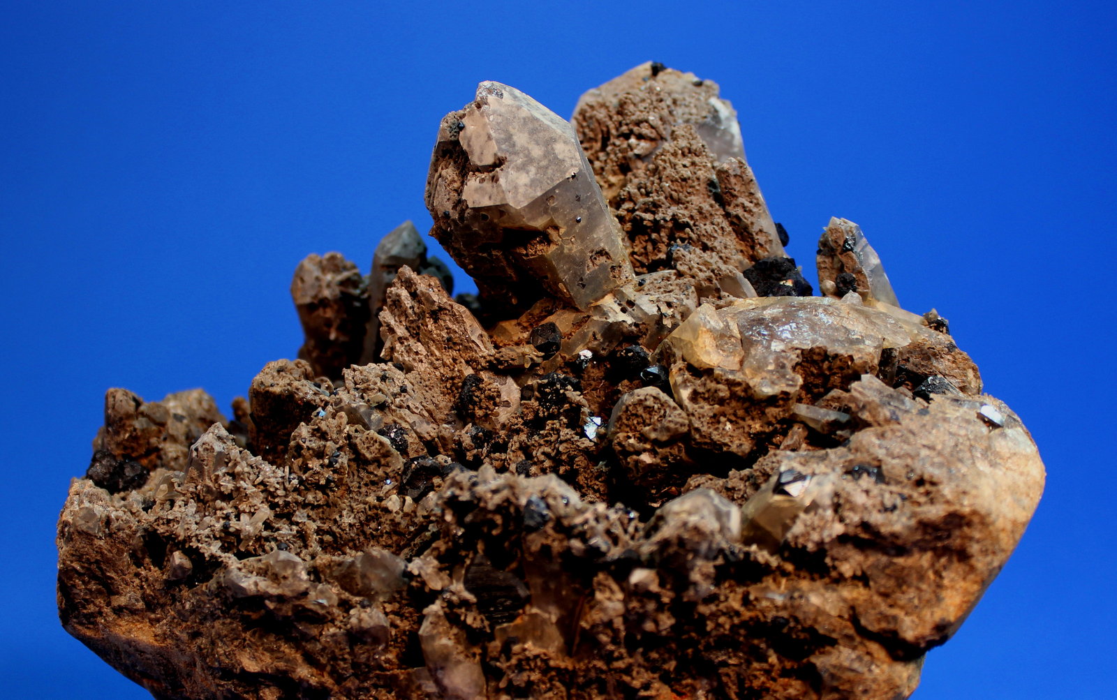 Brookite, Quartz (var smoky)
18.5 x 13 cm
(Autor: Don Lum)