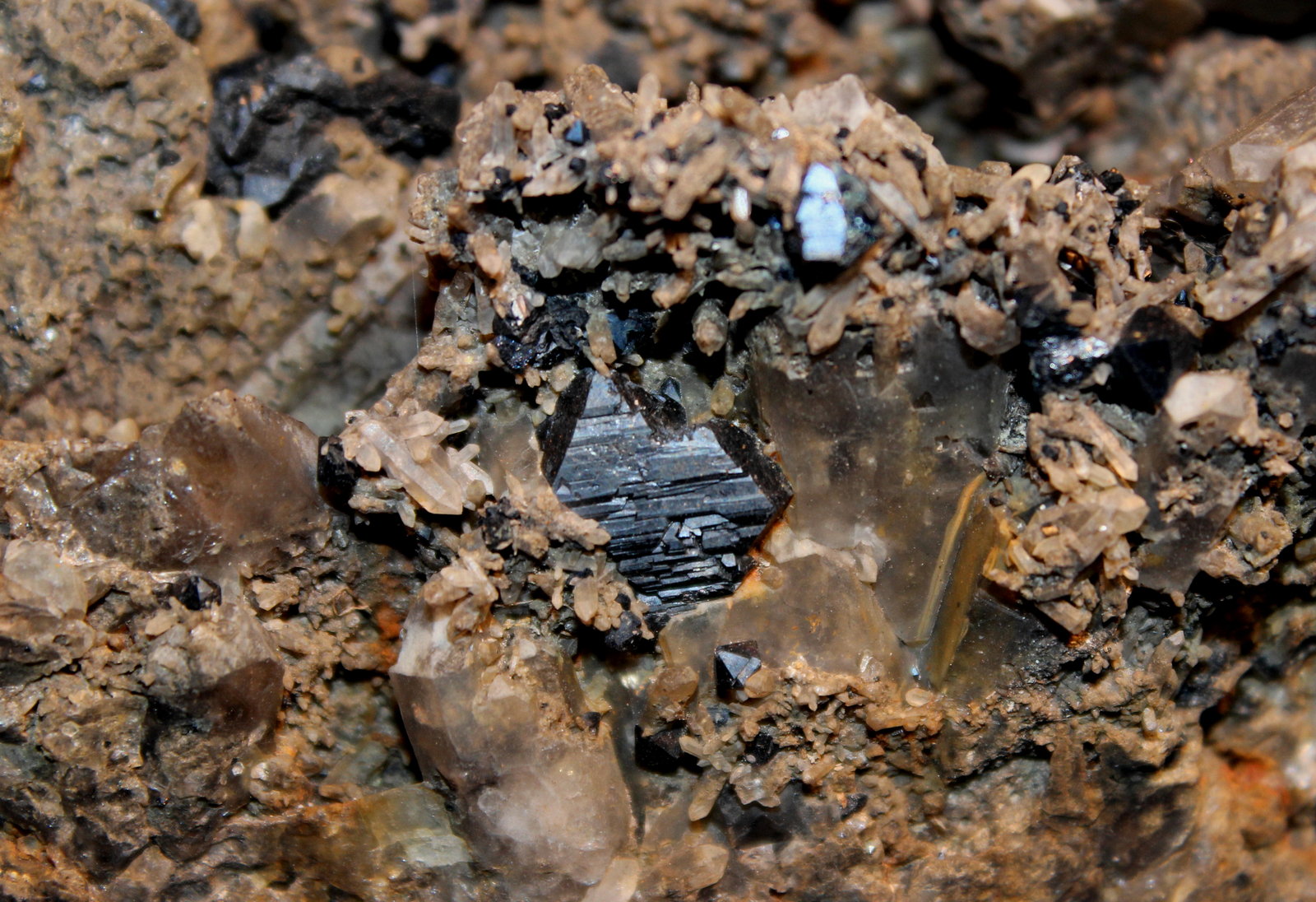 Brookite, Quartz (var smoky)
18.5 x 13 cm
(Autor: Don Lum)