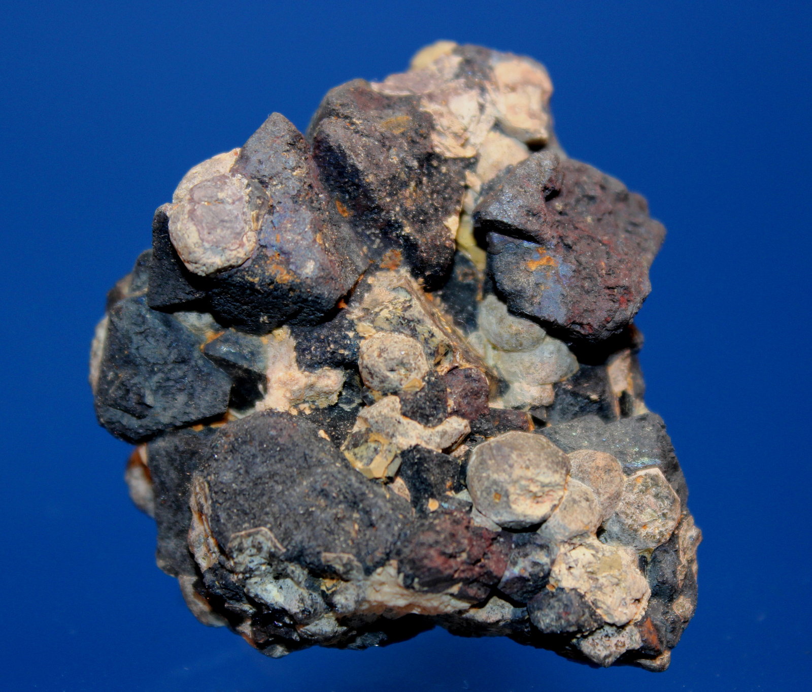 Baddeleyite, Perovskite, Anatase, Magnetite
5.5 x 5.0 cm
(Autor: Don Lum)