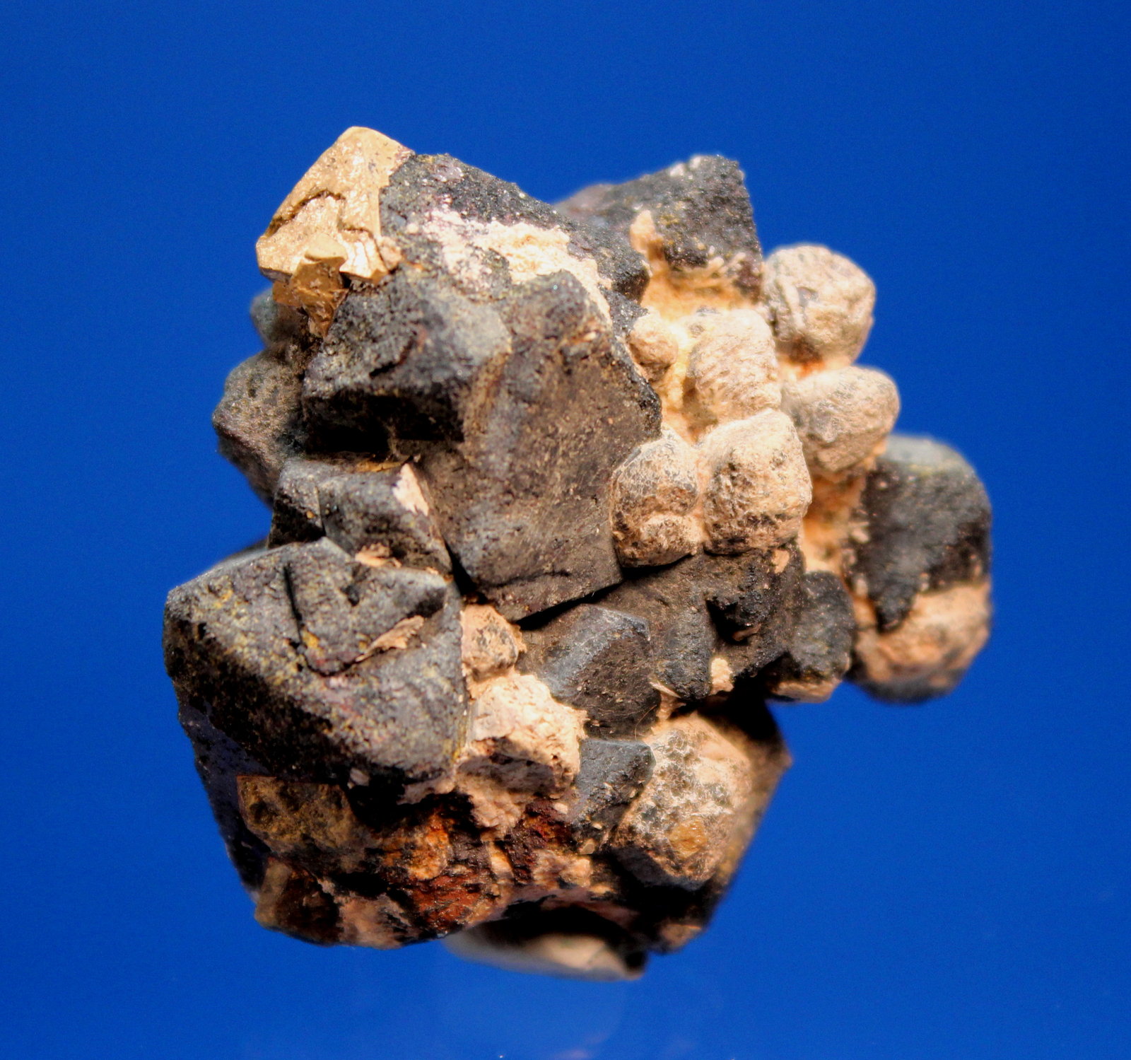 Anatase, Kimzeyite, Magnetite
4.0 x 3.5 x 2.0 cm
(Autor: Don Lum)
