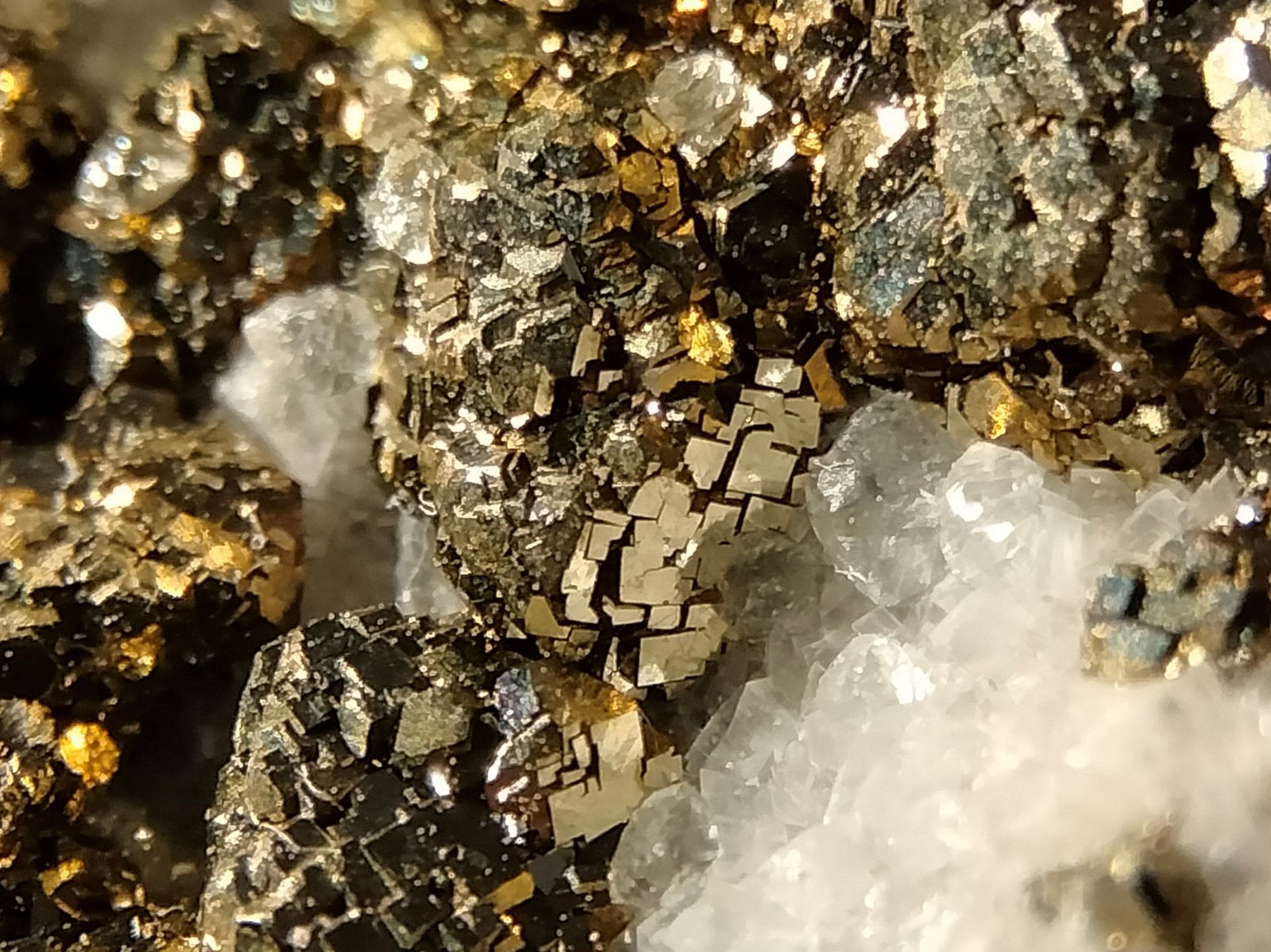 Pyrite and Calcite
Close up
(Autor: Firmo Espinar)