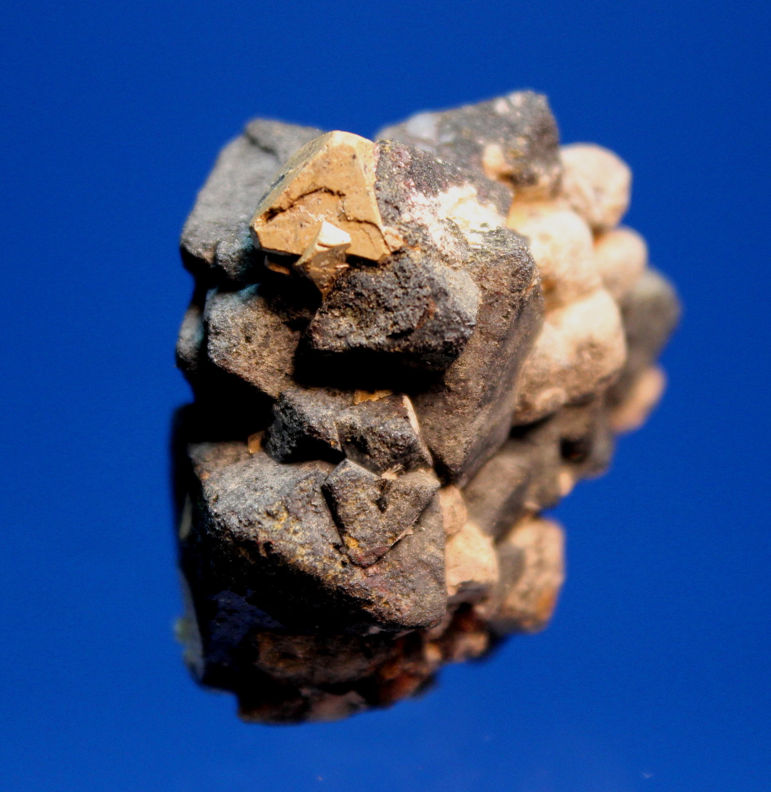 Anatase, Kimzeyite,Magnetite
4.0 x 3.5 x 2.0 cm
(Autor: Don Lum)