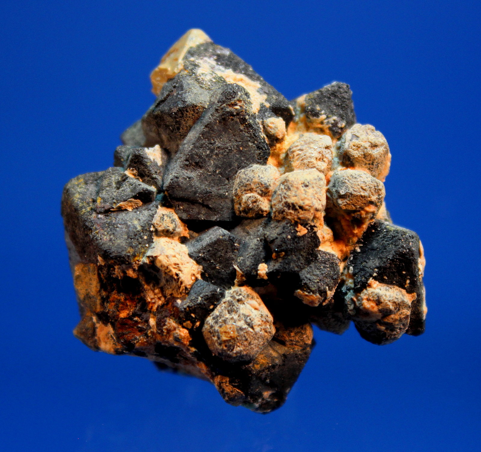 Anatase, Kimzeyite, Magnetite
4.0 x 3.5 x 2.0 cm
(Autor: Don Lum)