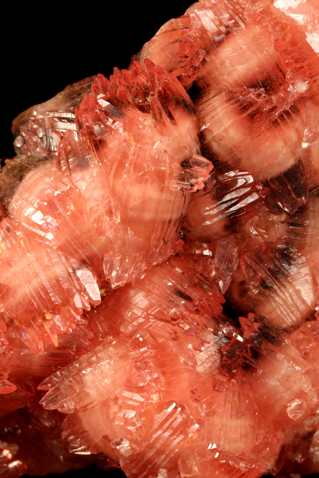 Rhodochrosite, Manganite
64x37x27mm
(Autor: Fiebre Verde)