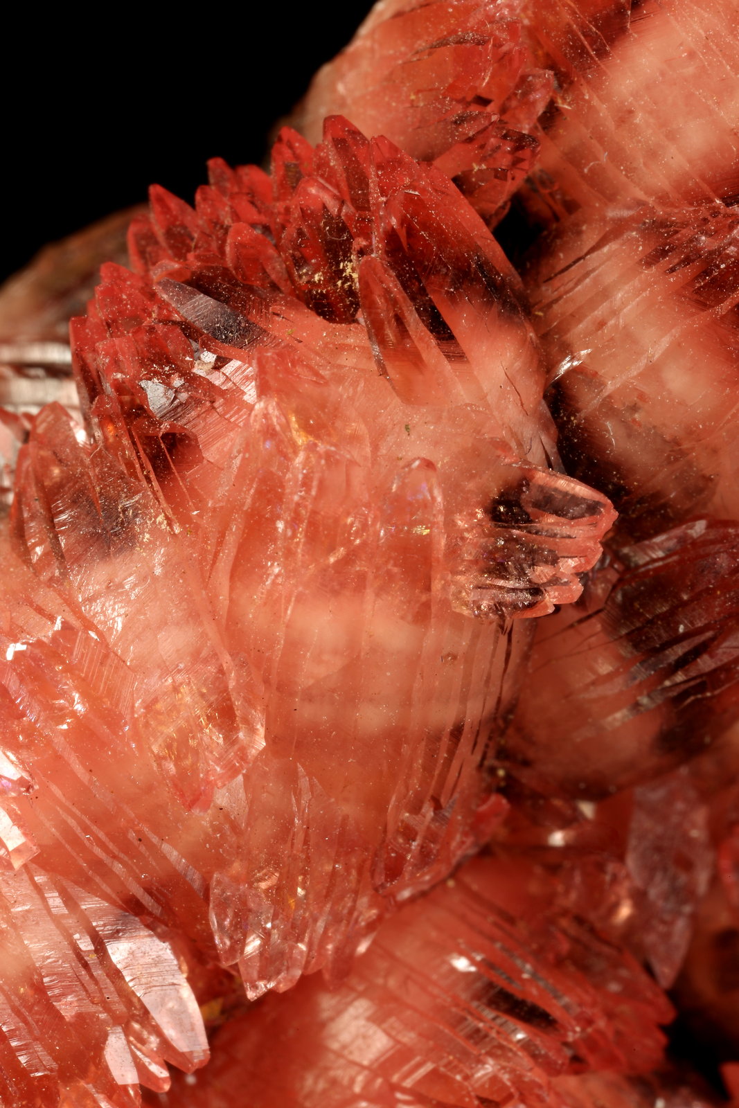 Rhodochrosite, Manganite
64x37x27mm
(Autor: Fiebre Verde)