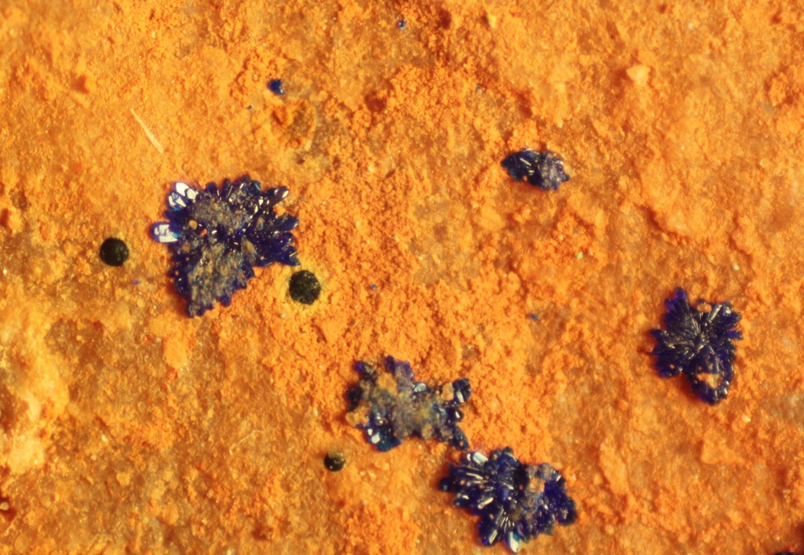 Azurite
FOV 7 mm
(Autor: Firmo Espinar)