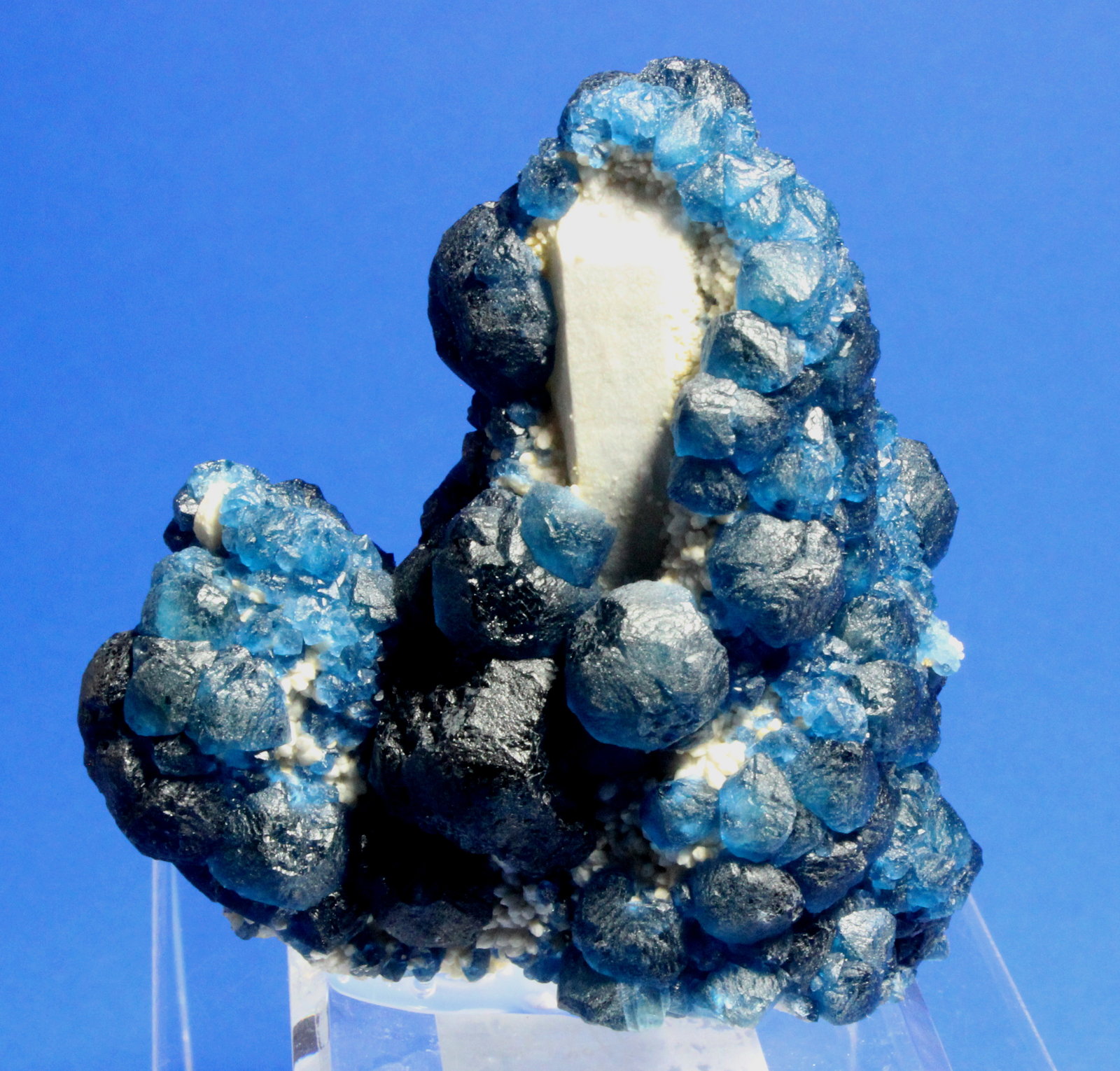Fluorite, Quartz
7.4 x 7.0 cm
(Autor: Don Lum)