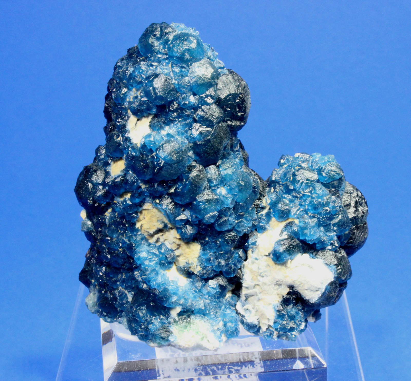 Fluorite, Quartz
7.4 x 7.0 cm
(Autor: Don Lum)