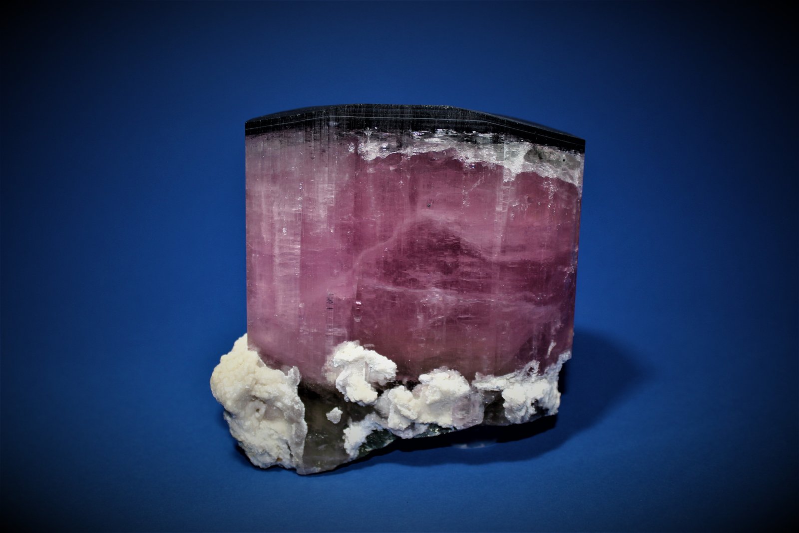 Elbaite (Tourmaline Group), Albite, Quartz
12 cm x 11.5 cm
(Autor: Don Lum)