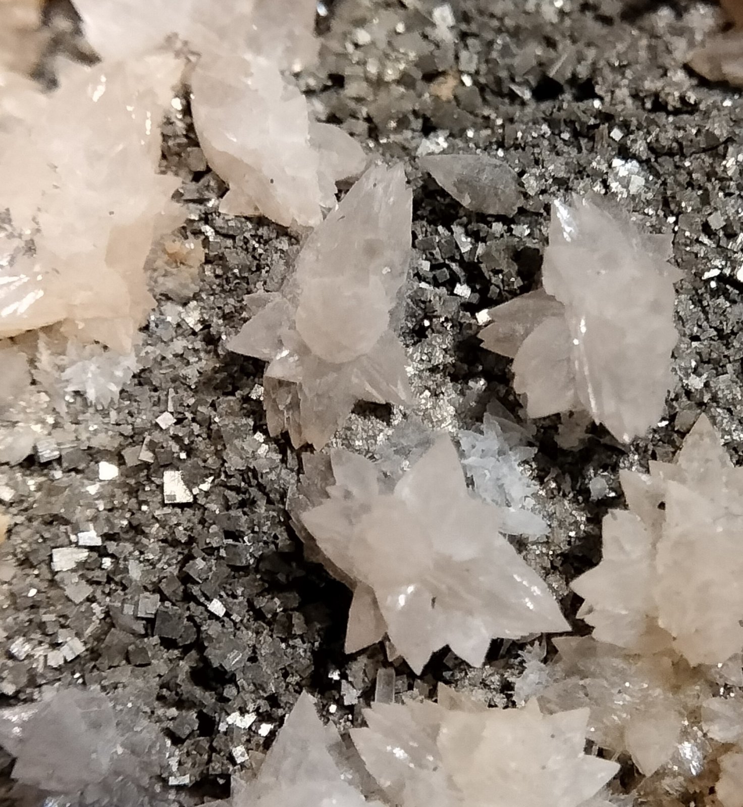 Calcite and Pyrite
FOV 9 mm
(Autor: Firmo Espinar)