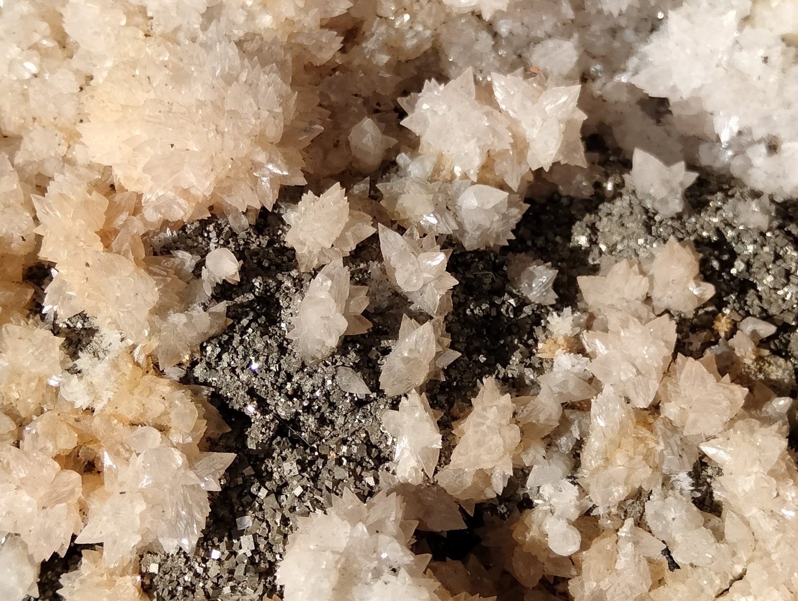 Calcite and Pyrite
FOV 46 mm
(Autor: Firmo Espinar)