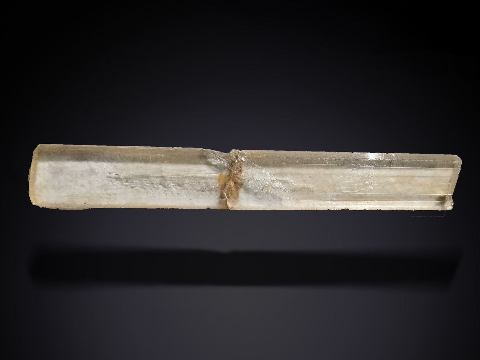 Gypsum
268 mm x 40 mm x 9 mm
(Autor: Firmo Espinar)