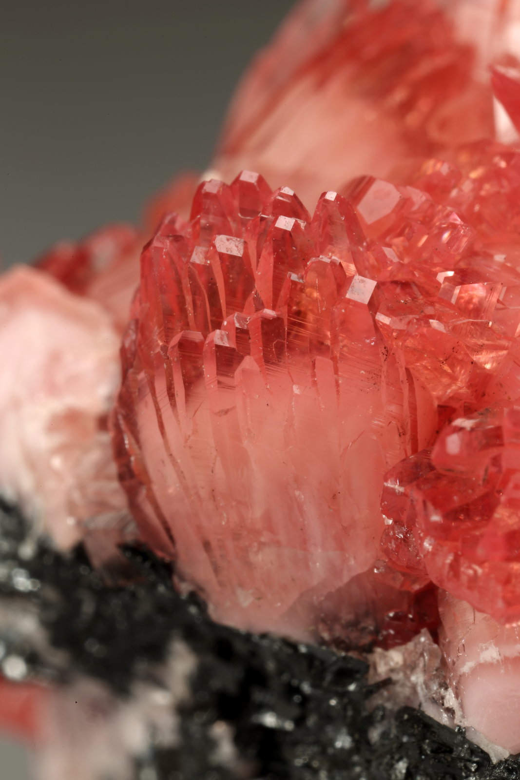 Rhodochrosite, Manganite
39x29x27mm
(Autor: Fiebre Verde)