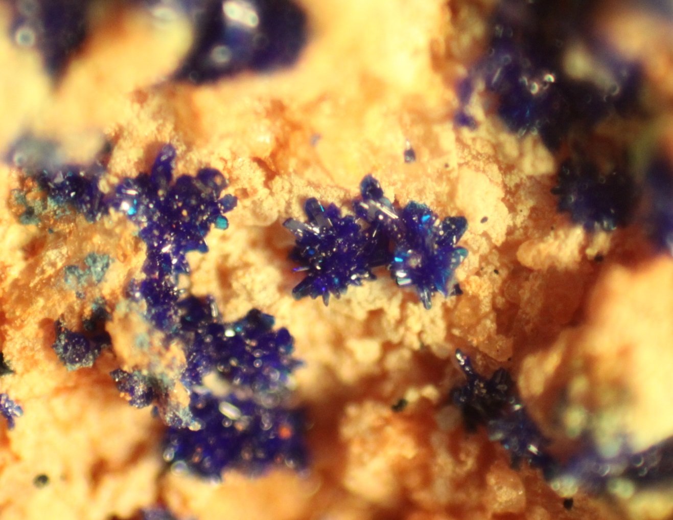 Azurite
FOV 8 mm
(Autor: Firmo Espinar)