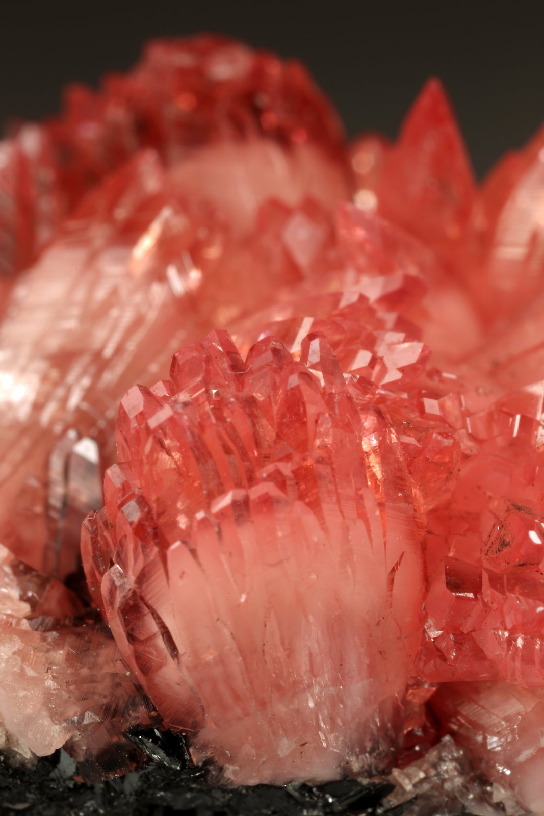 Rhodochrosite, Manganite
39x29x27mm
(Autor: Fiebre Verde)