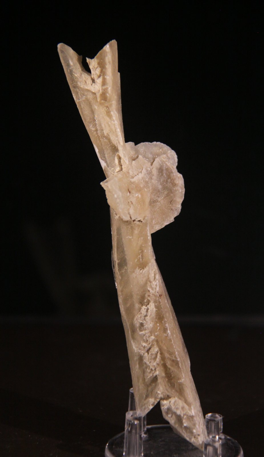 Gypsum
48mm x 153mm x 40mm
(Autor: Firmo Espinar)