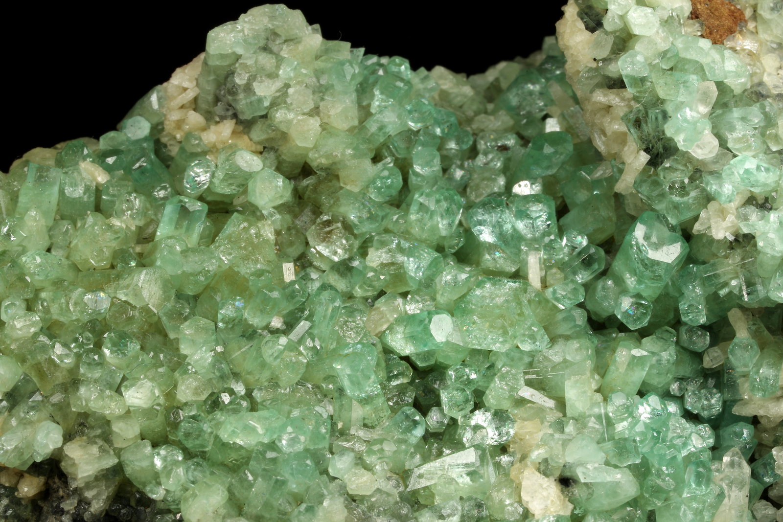 Beryl (variety emerald), Albite (variety cleavelandite), Quartz, Calcite
96x75x33mm, xls up to 10mm
(Autor: Fiebre Verde)