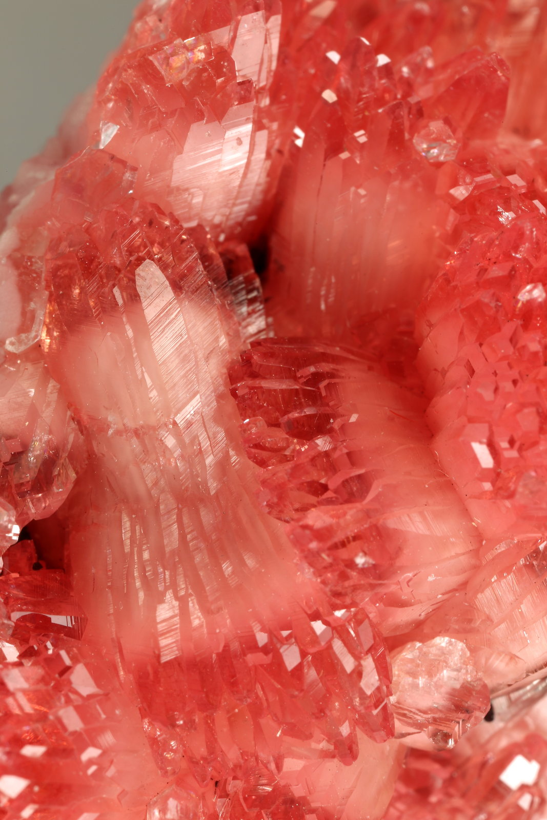 Rhodochrosite, Manganite
39x29x27mm
(Autor: Fiebre Verde)