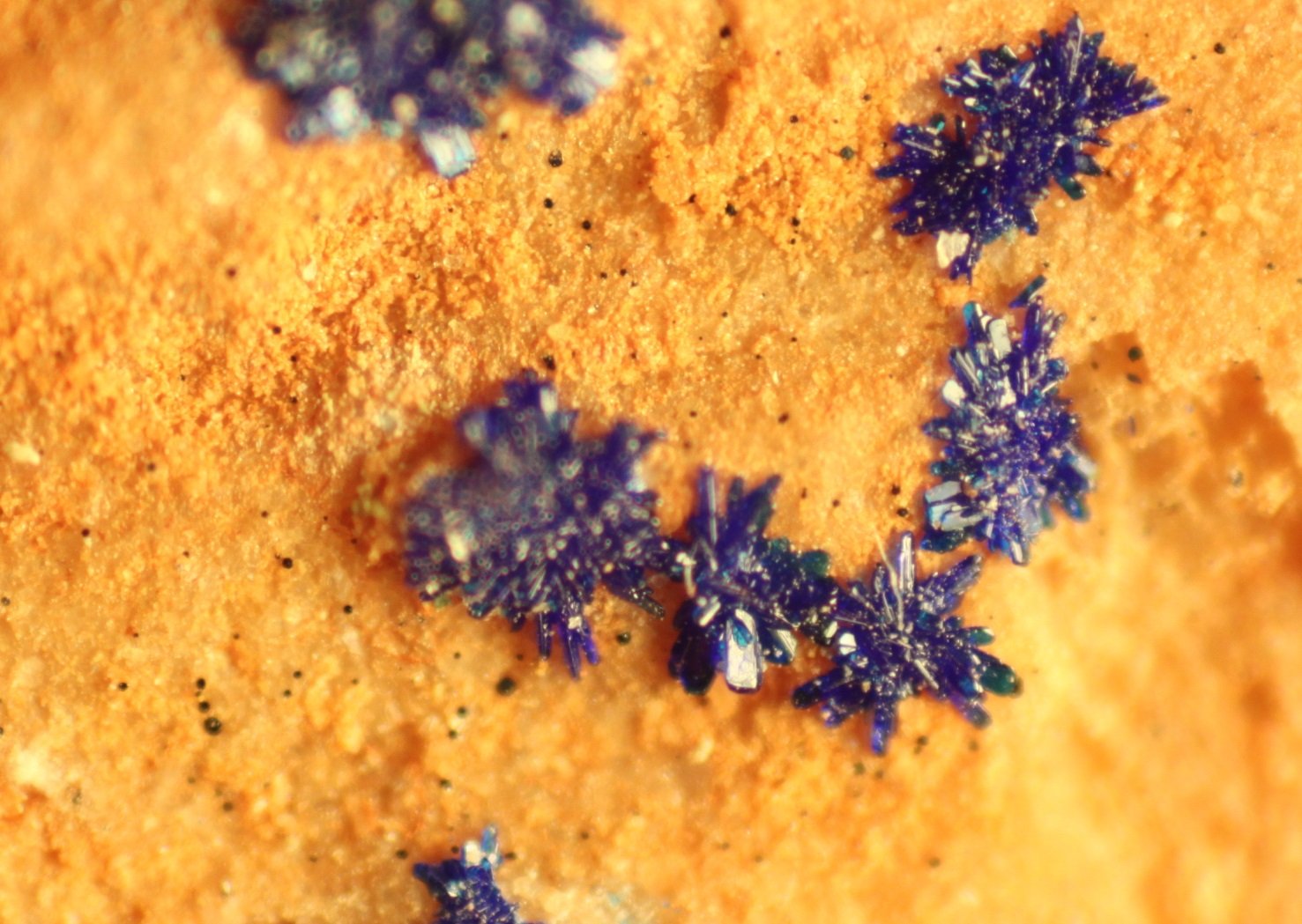 Azurite
FOV 7 mm
(Autor: Firmo Espinar)