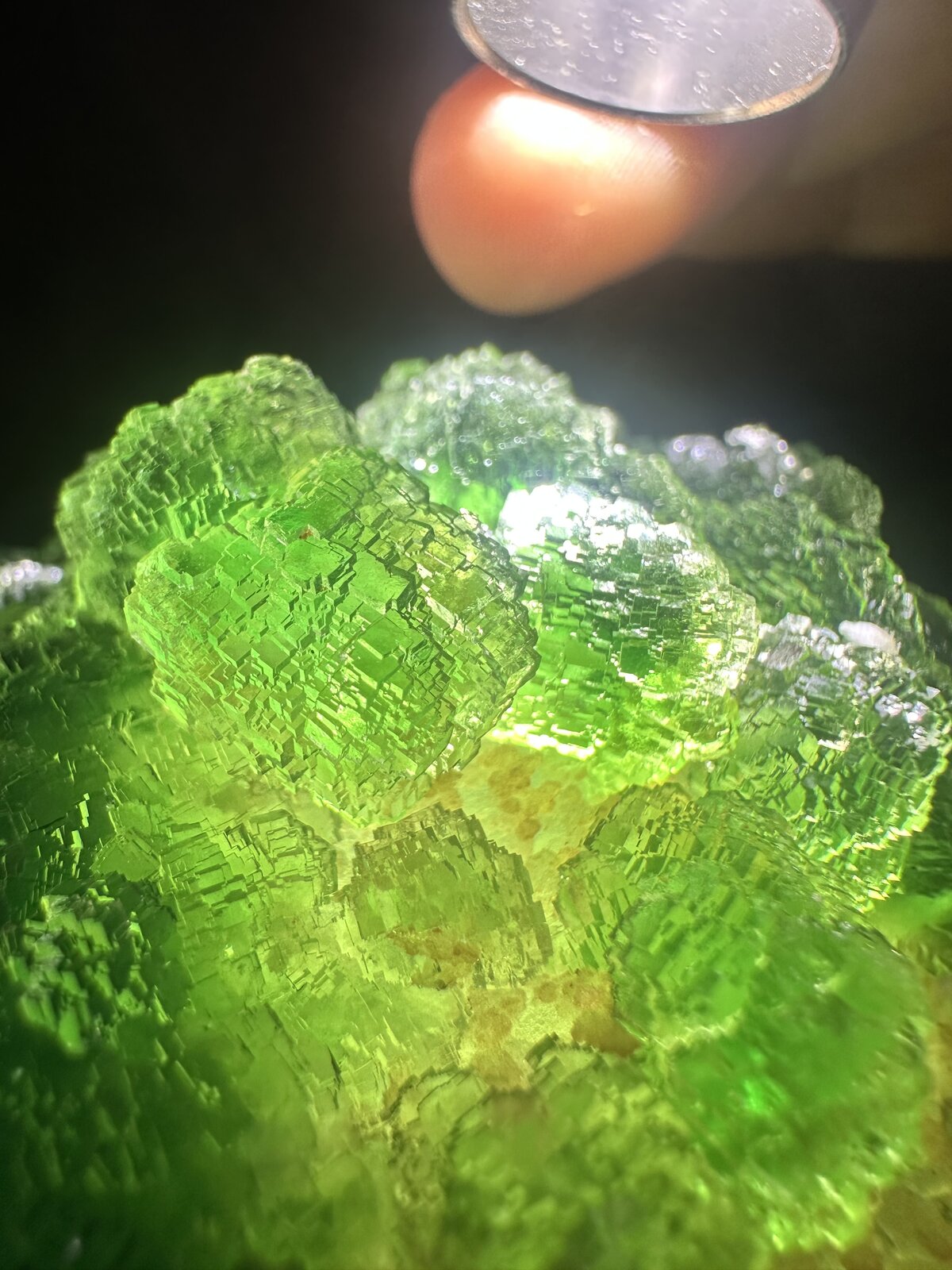Fluorite
15x11cm
(Autor: QT.JojoGuo)