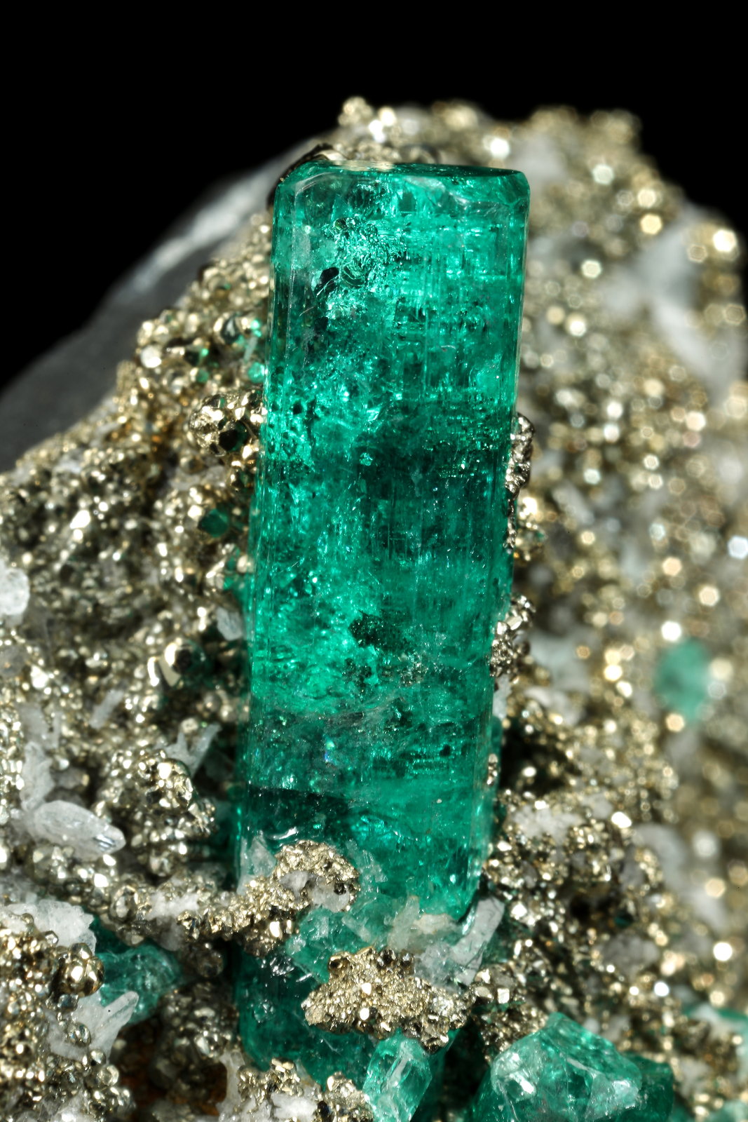 Beryl (variety emerald), Albite (variety cleavelandite), Pyrite
38x35x18mm, largest xl=20mm
(Autor: Fiebre Verde)