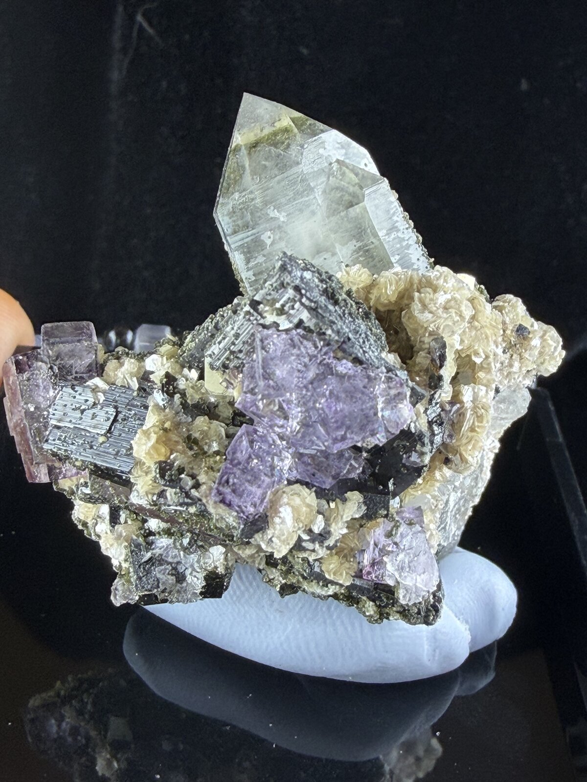 Fluorite with Quartz, Siderite, Ferberite, Pyrite and Mica
4.5x3cm
(Autor: QT.JojoGuo)