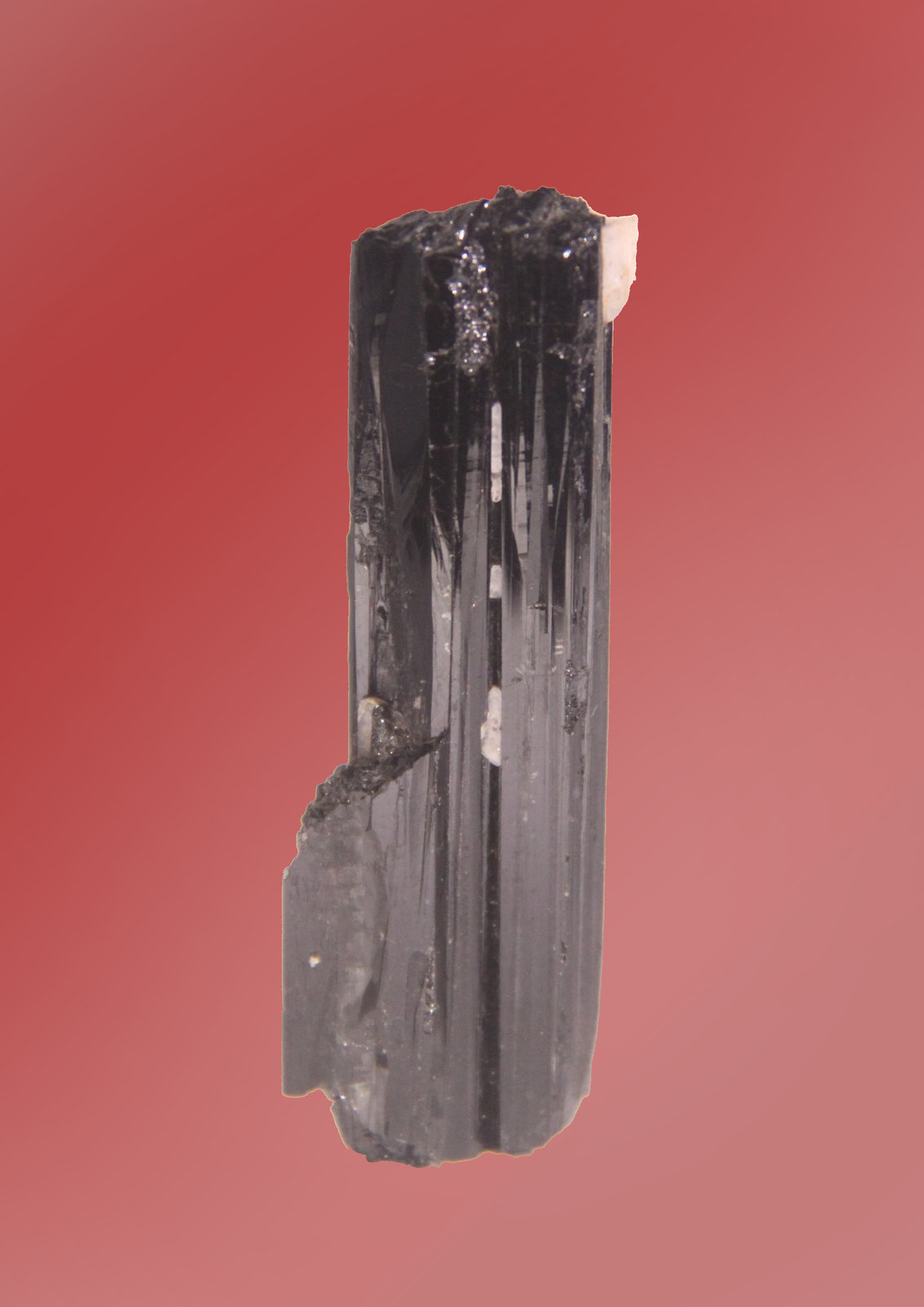 Schorl
20mm x 64mm x 7mm
(Autor: Firmo Espinar)
